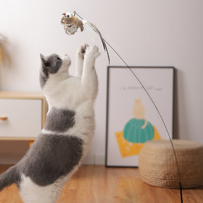 Bird interactive Cat Toy